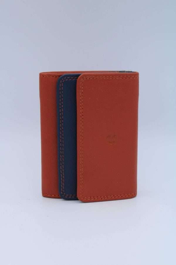 Portafoglio Cindy multicolor