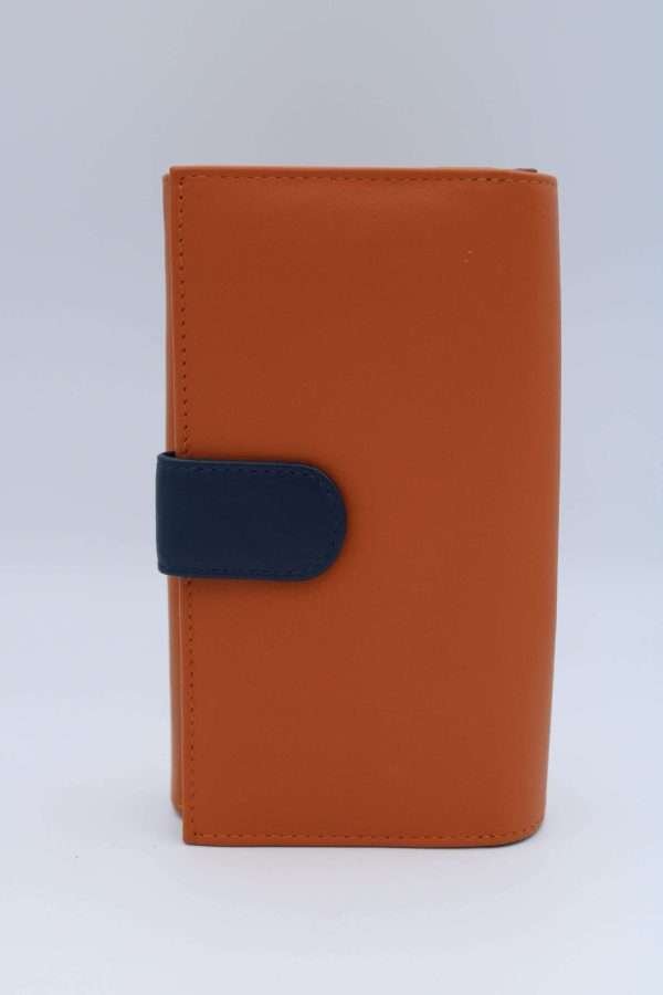 Portafoglio Medusa multicolor