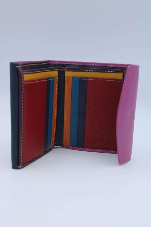 Portafoglio Monica multicolor